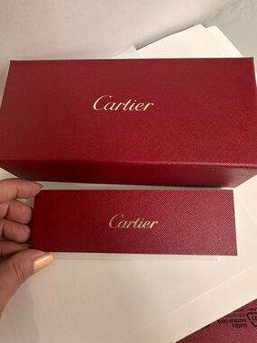 Cartier Titanium Eyeglass Temple Arm in Silver